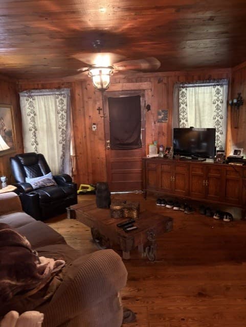 20 S Scruggs Street, Mountain City GA 30562 - Photo