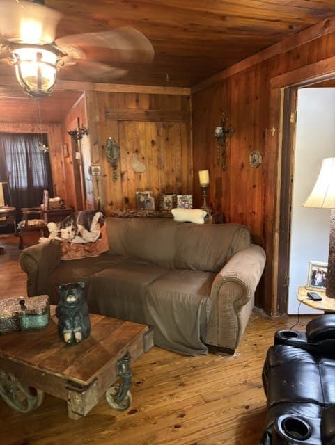 20 S Scruggs Street, Mountain City GA 30562 - Photo