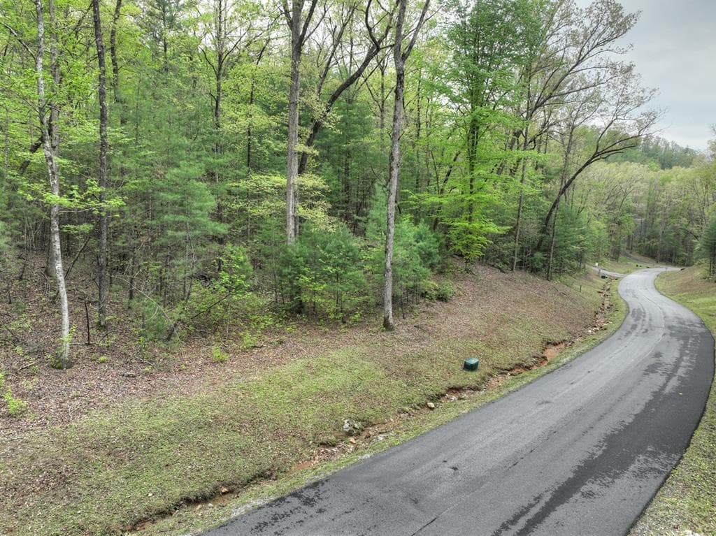Lot 14 Watersong Trail, Ellijay GA 30540 - Photo