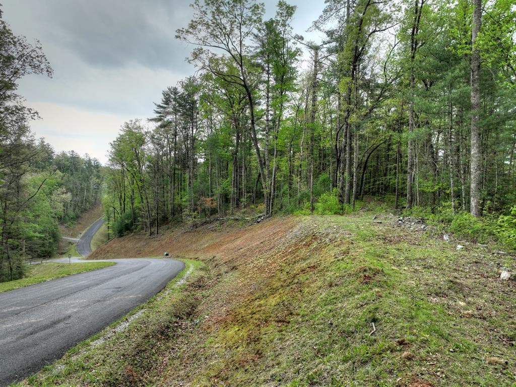 Lot 14 Watersong Trail, Ellijay GA 30540 - Photo