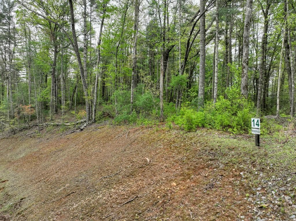 Lot 14 Watersong Trail, Ellijay GA 30540 - Photo
