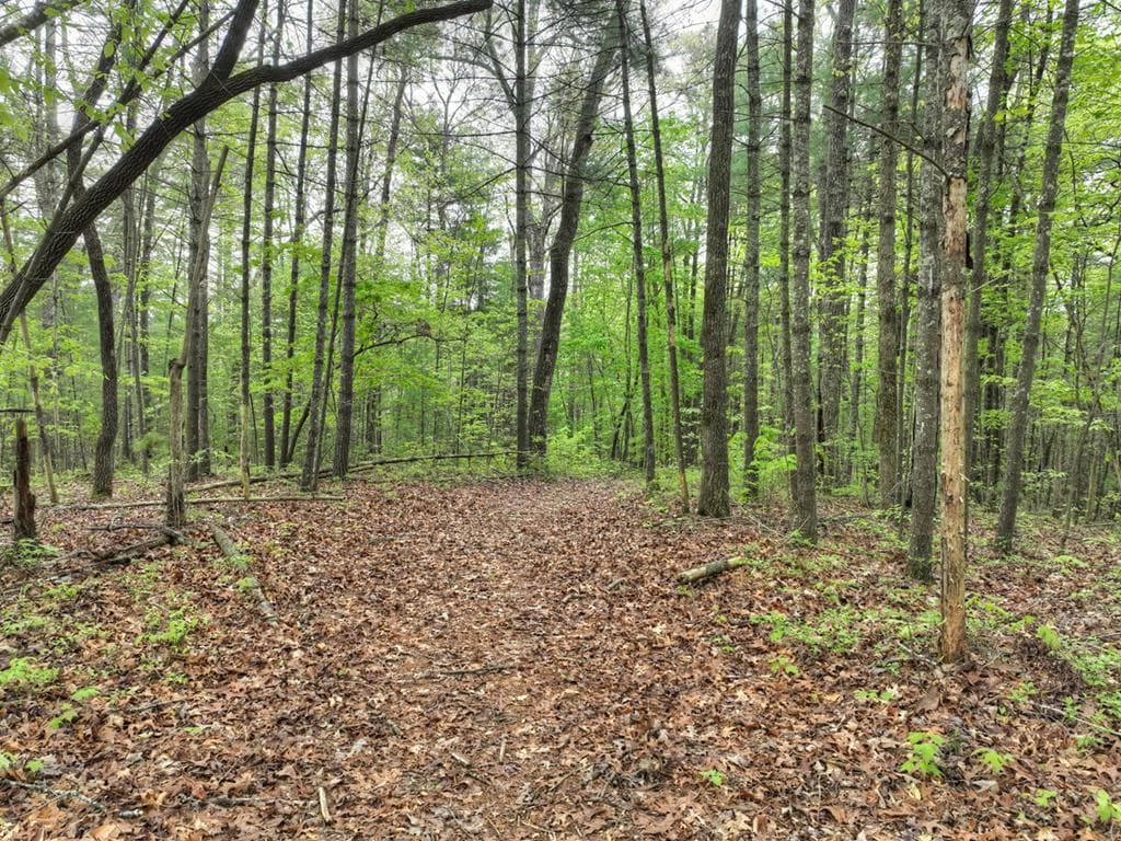 Lot 14 Watersong Trail, Ellijay GA 30540 - Photo