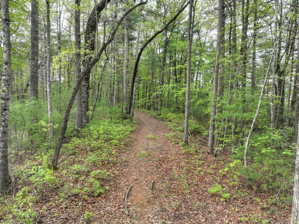 Lot 14 Watersong Trail, Ellijay GA 30540 - Photo