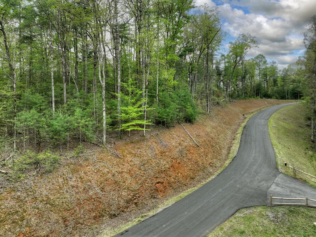 Lot 14 Watersong Trail, Ellijay GA 30540 - Photo