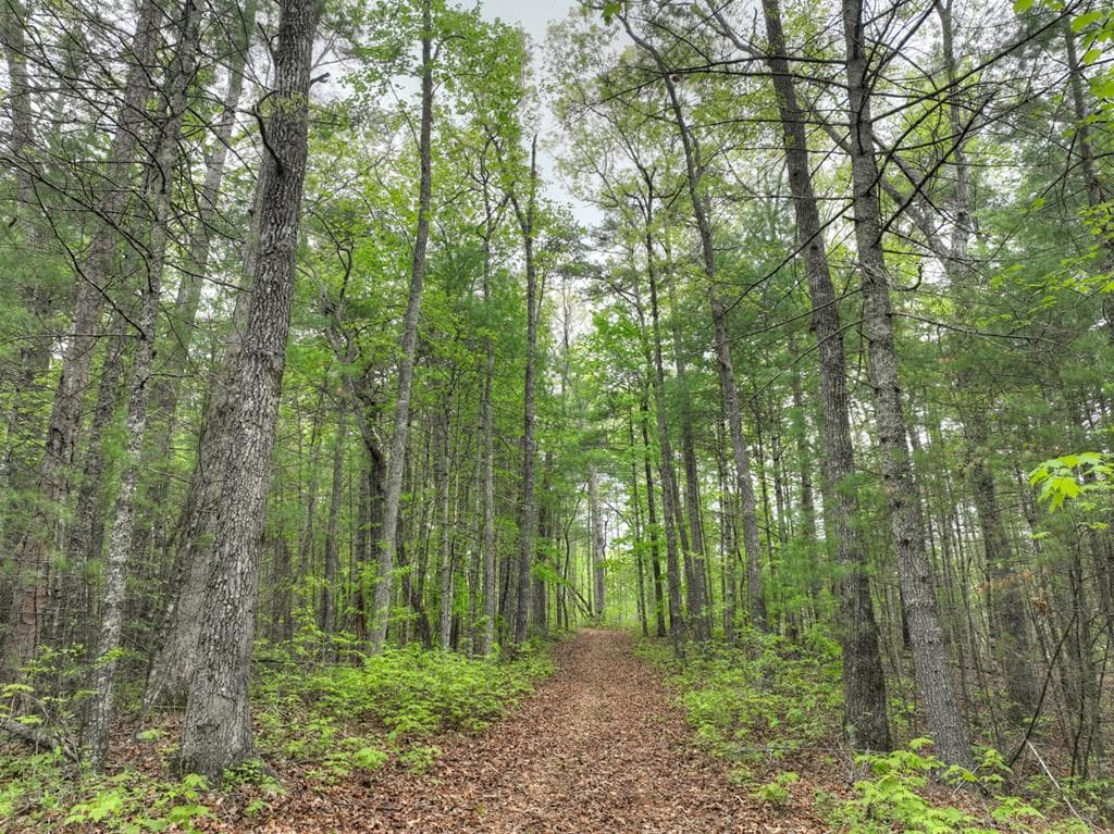 Lot 14 Watersong Trail, Ellijay GA 30540 - Photo