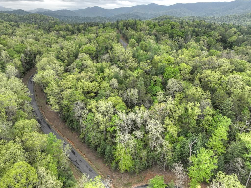 Lot 14 Watersong Trail, Ellijay GA 30540 - Photo