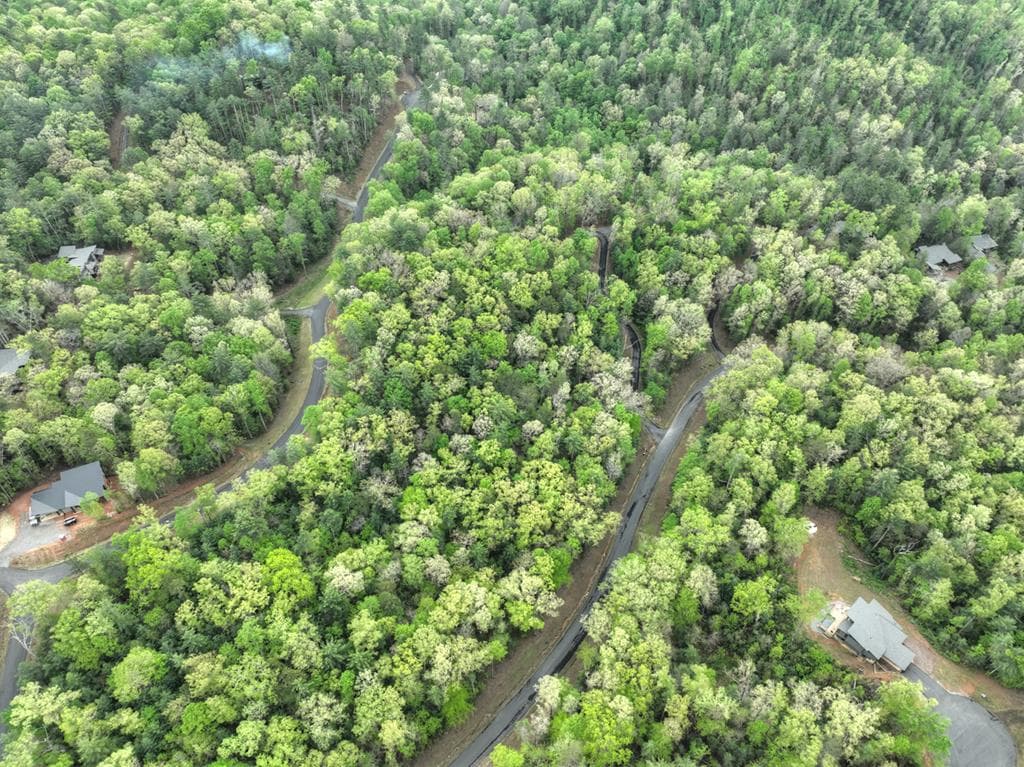 Lot 14 Watersong Trail, Ellijay GA 30540 - Photo