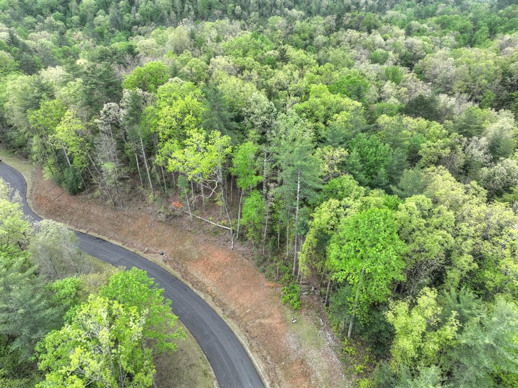 Lot 14 Watersong Trail, Ellijay GA 30540 - Photo