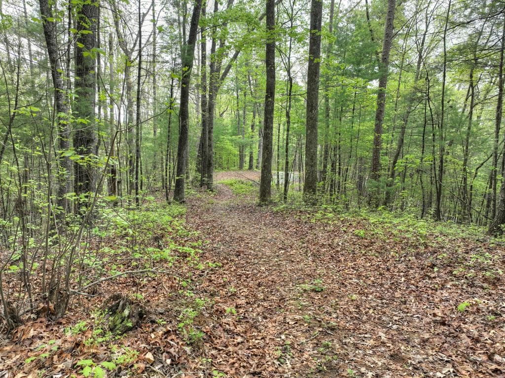 Lot 14 Watersong Trail, Ellijay GA 30540 - Photo