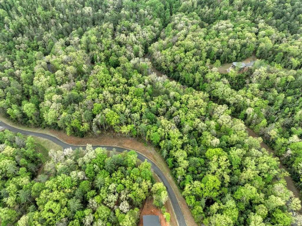 Lot 14 Watersong Trail, Ellijay GA 30540 - Photo