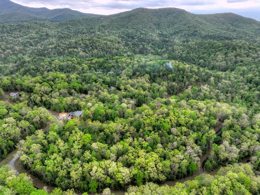 Lot 14 Watersong Trail, Ellijay GA 30540 - Photo