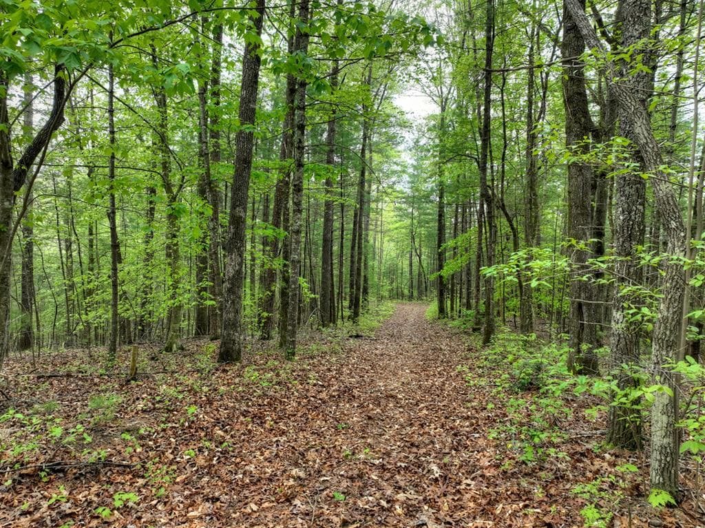 Lot 14 Watersong Trail, Ellijay GA 30540 - Photo