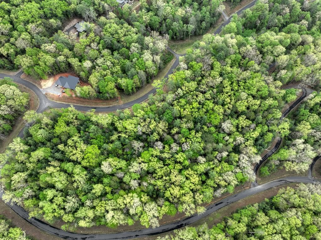Lot 14 Watersong Trail, Ellijay GA 30540 - Photo