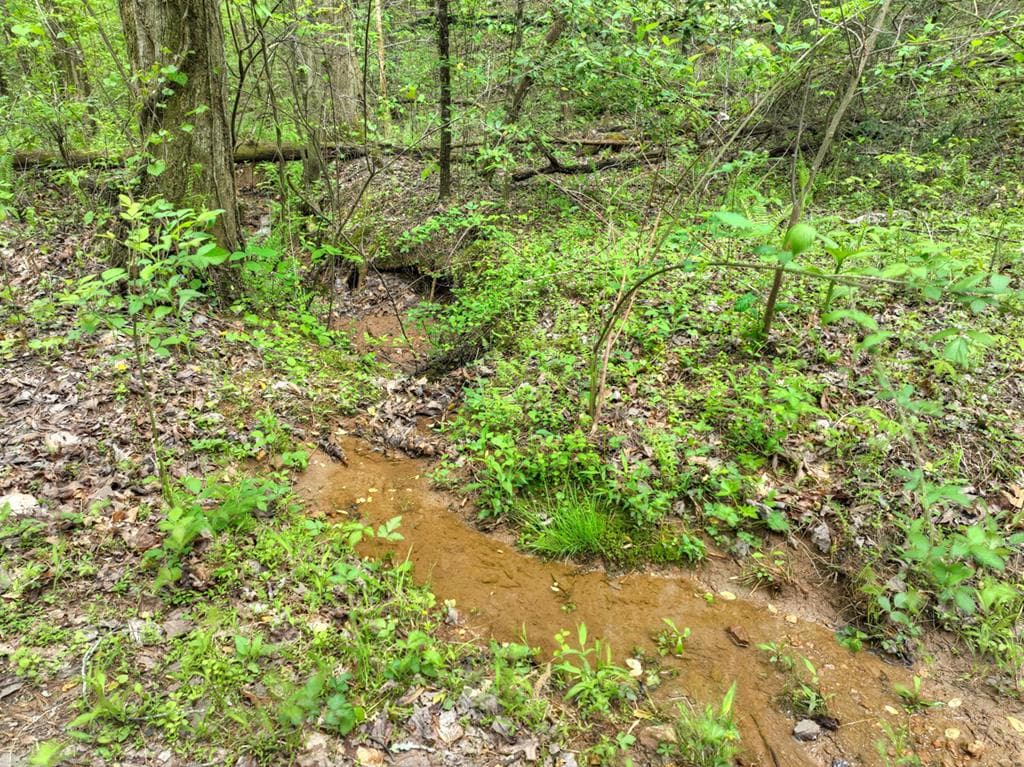 Lot 14 Watersong Trail, Ellijay GA 30540 - Photo
