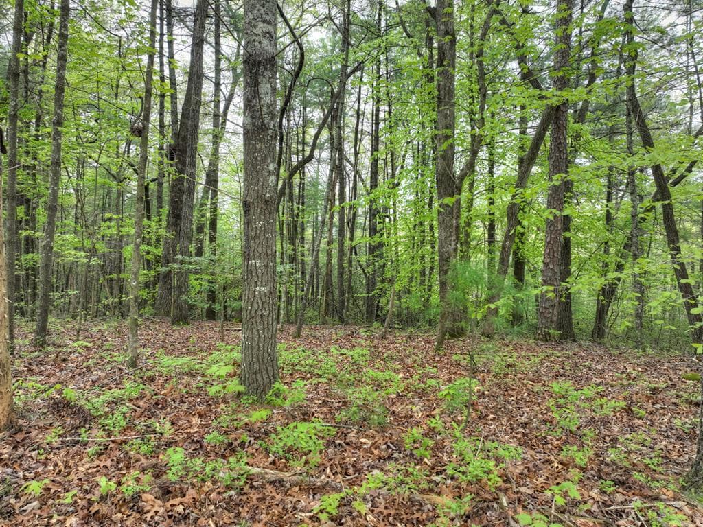 Lot 14 Watersong Trail, Ellijay GA 30540 - Photo