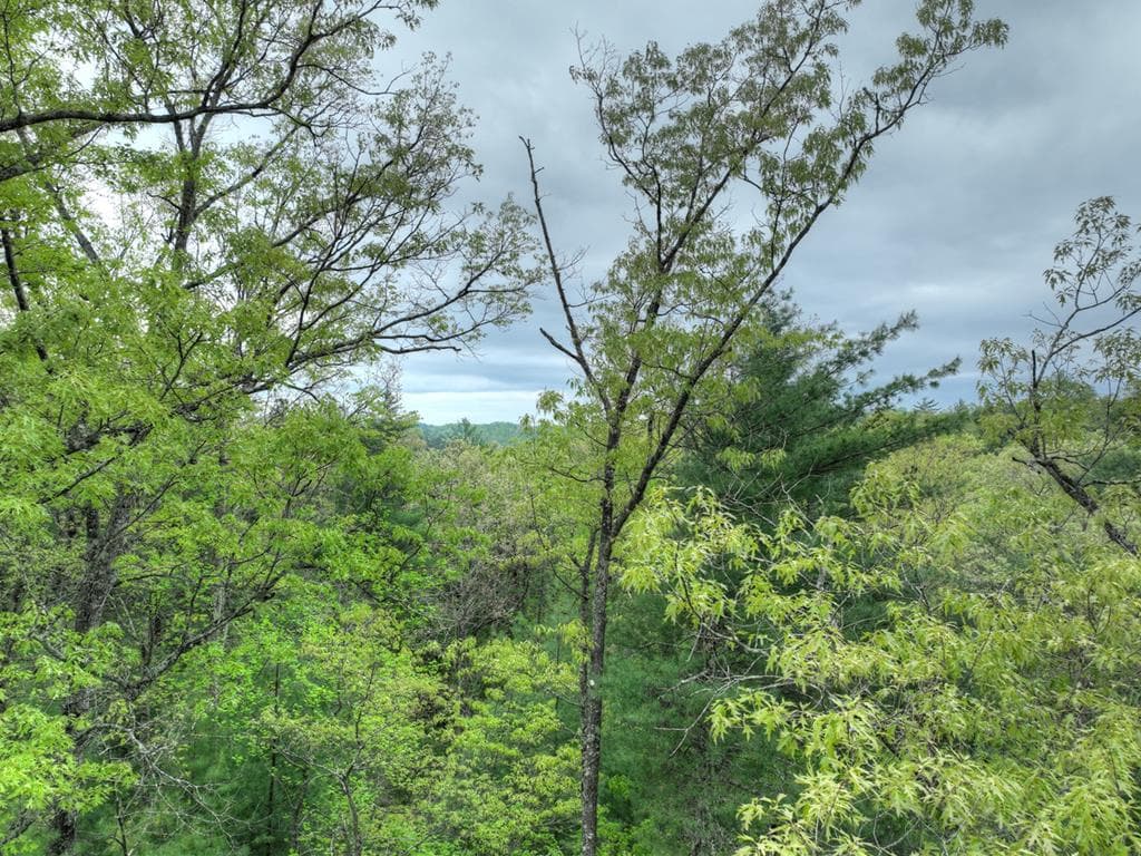 Lot 14 Watersong Trail, Ellijay GA 30540 - Photo