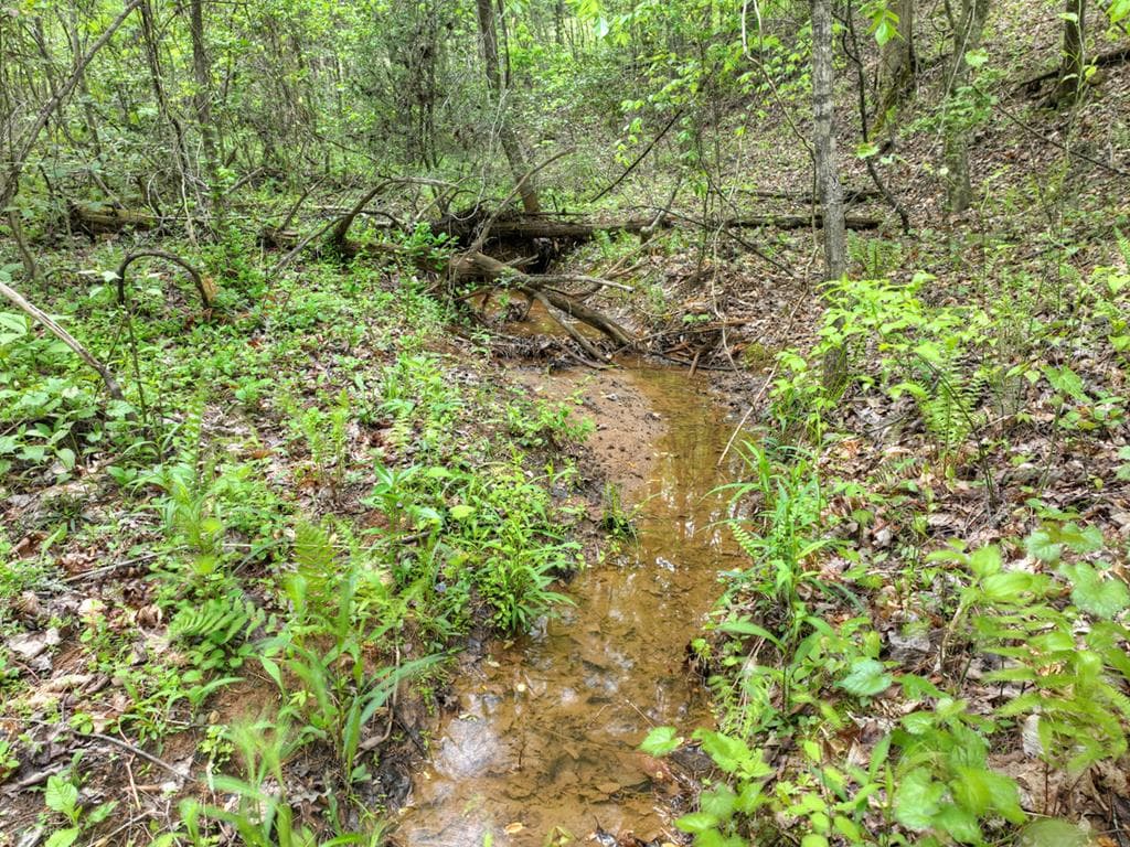 Lot 14 Watersong Trail, Ellijay GA 30540 - Photo