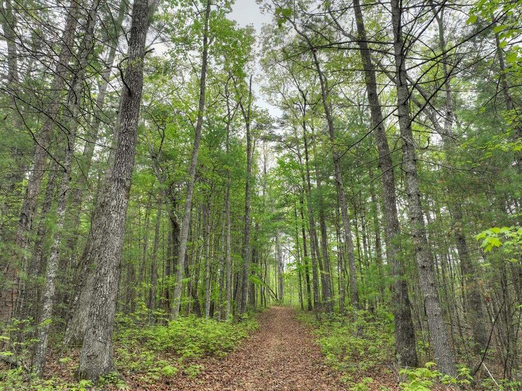 Lot 14 Watersong Trail, Ellijay GA 30540 - Photo