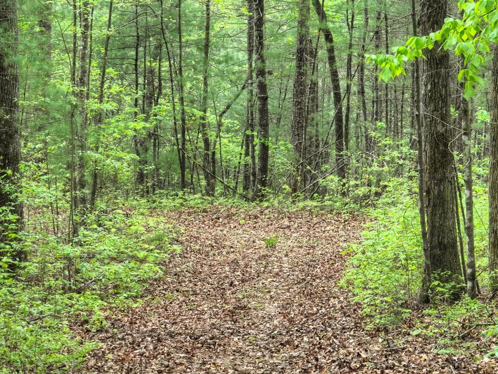 Lot 14 Watersong Trail, Ellijay GA 30540 - Photo