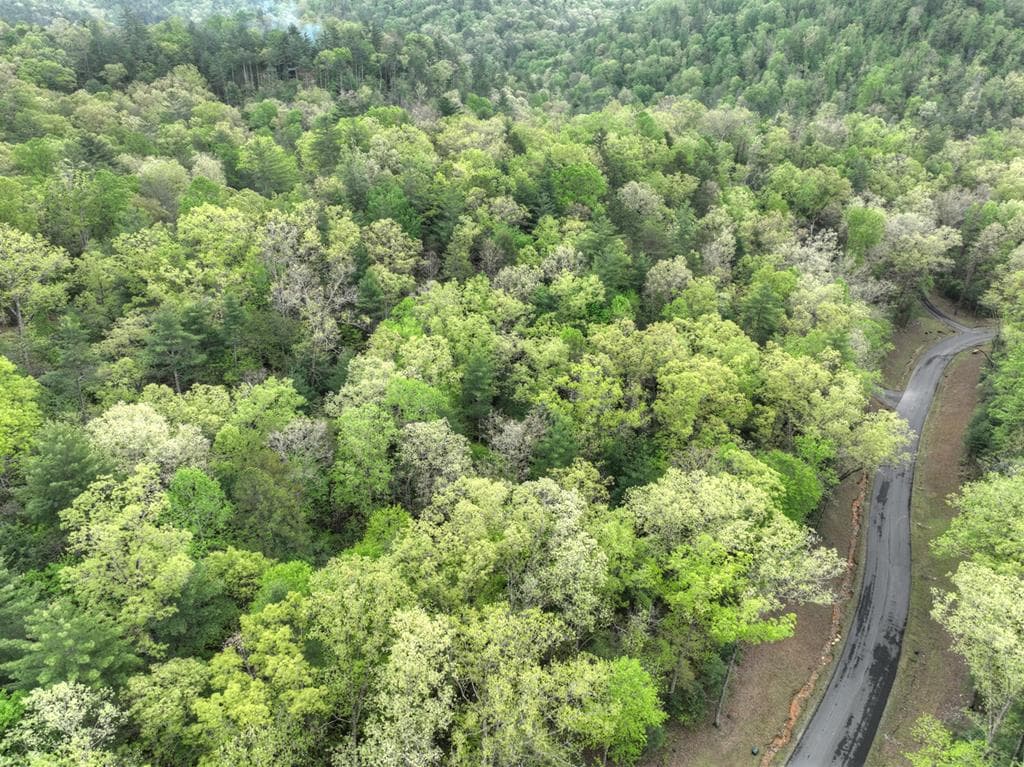 Lot 14 Watersong Trail, Ellijay GA 30540 - Photo