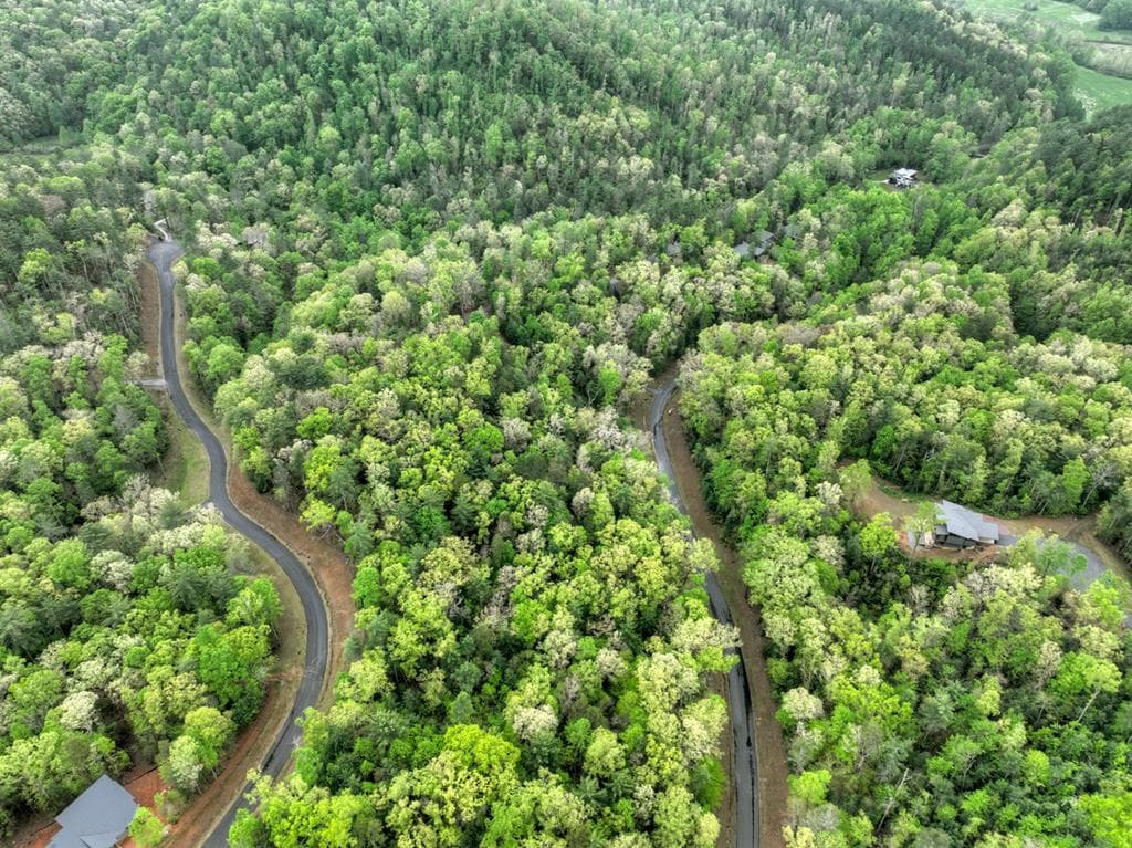 Lot 14 Watersong Trail, Ellijay GA 30540 - Photo