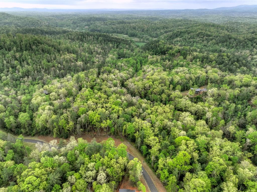 Lot 14 Watersong Trail, Ellijay GA 30540 - Photo