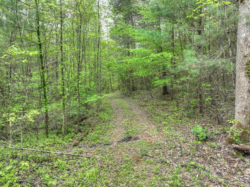 Lot 14 Watersong Trail, Ellijay GA 30540 - Photo
