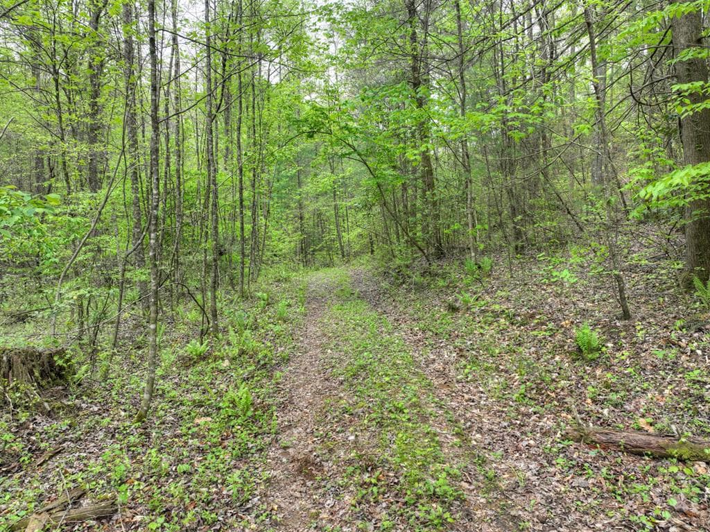 Lot 14 Watersong Trail, Ellijay GA 30540 - Photo