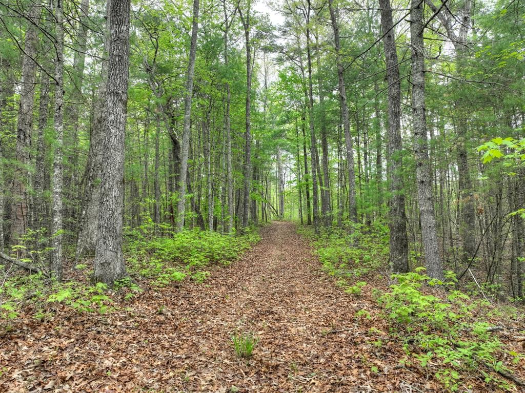 Lot 14 Watersong Trail, Ellijay GA 30540 - Photo