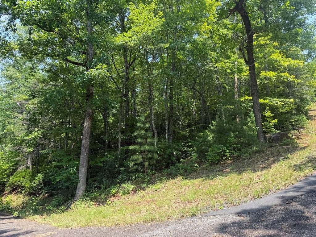 0 Whisper Ridge Court, Hiawassee GA 30546 - Photo
