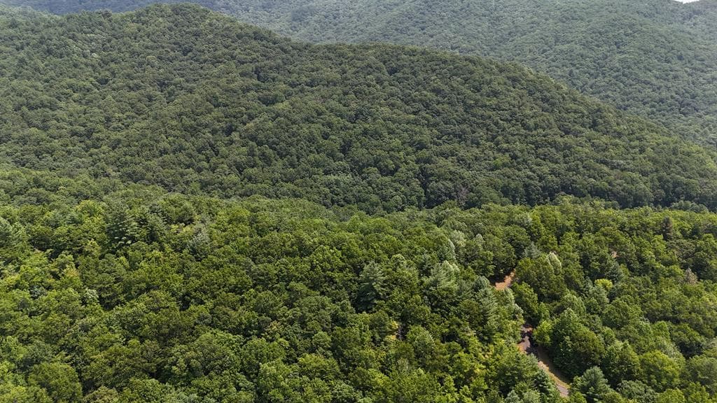 0 Whisper Ridge Court, Hiawassee GA 30546 - Photo