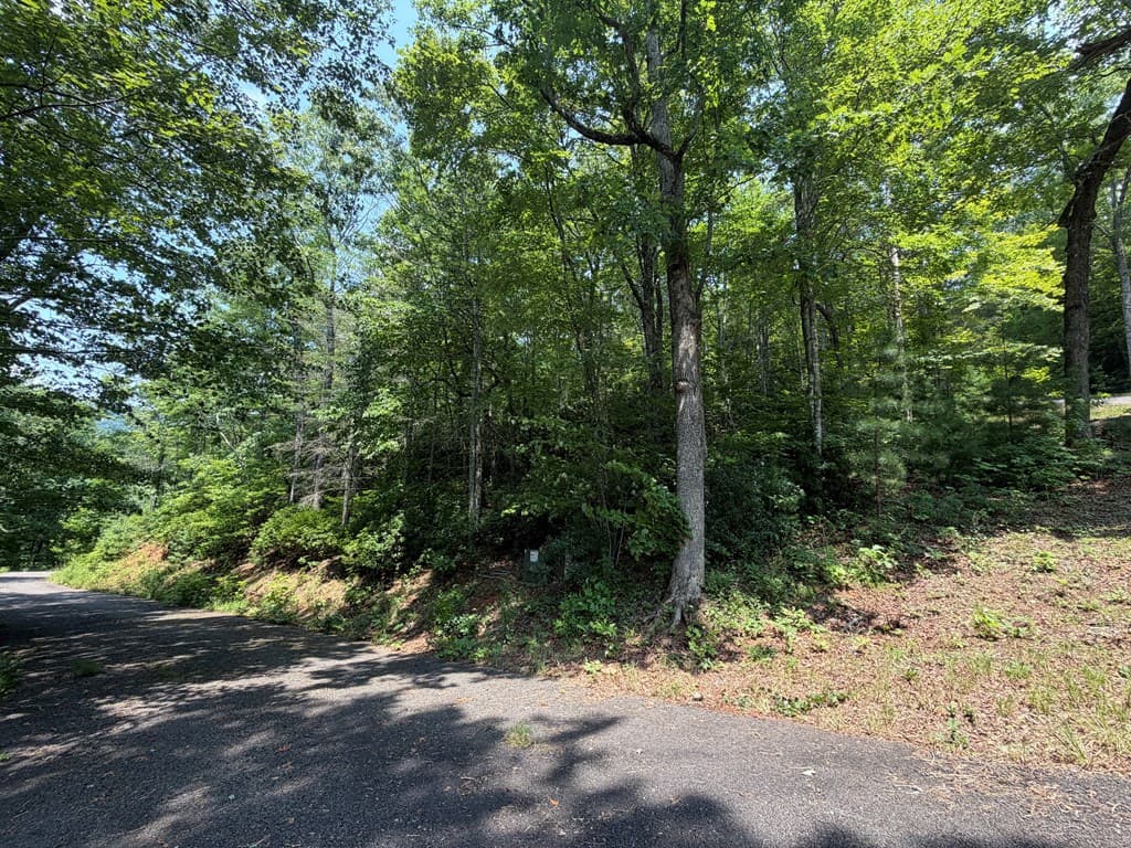 0 Whisper Ridge Court, Hiawassee GA 30546 - Photo