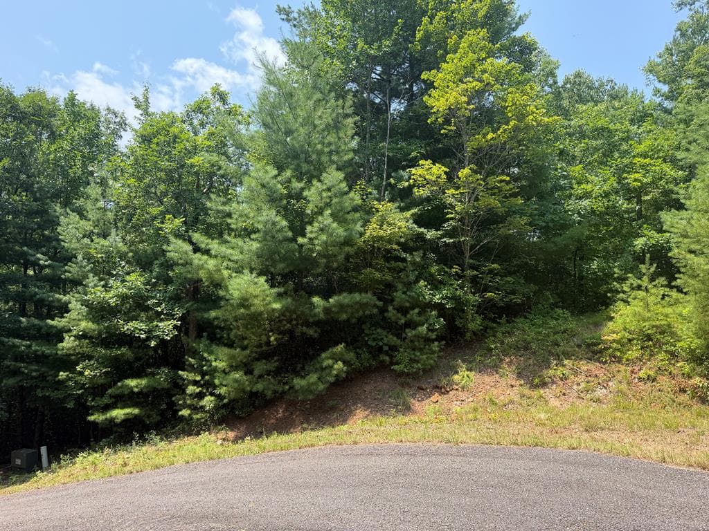 0 Whisper Ridge Court, Hiawassee GA 30546 - Primary photo