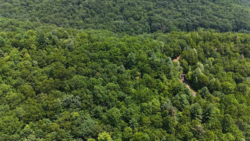 0 Whisper Ridge Court, Hiawassee GA 30546 - Photo