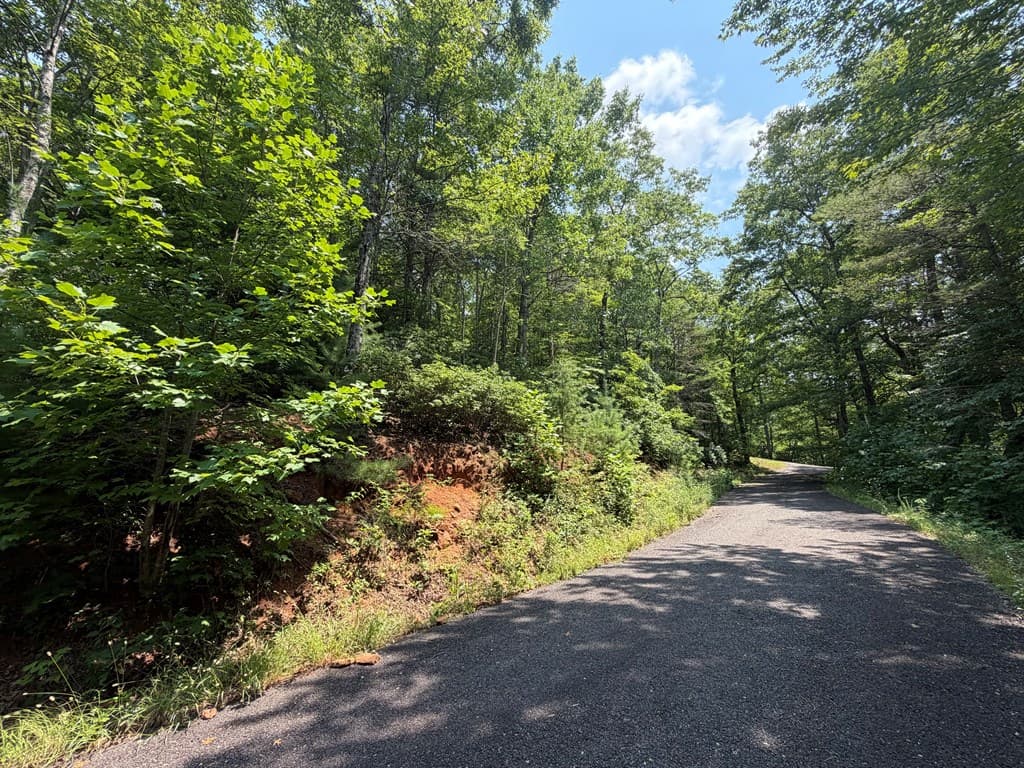 0 Whisper Ridge Court, Hiawassee GA 30546 - Photo