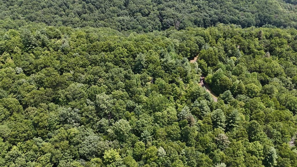 0 Whisper Ridge Court, Hiawassee GA 30546 - Photo