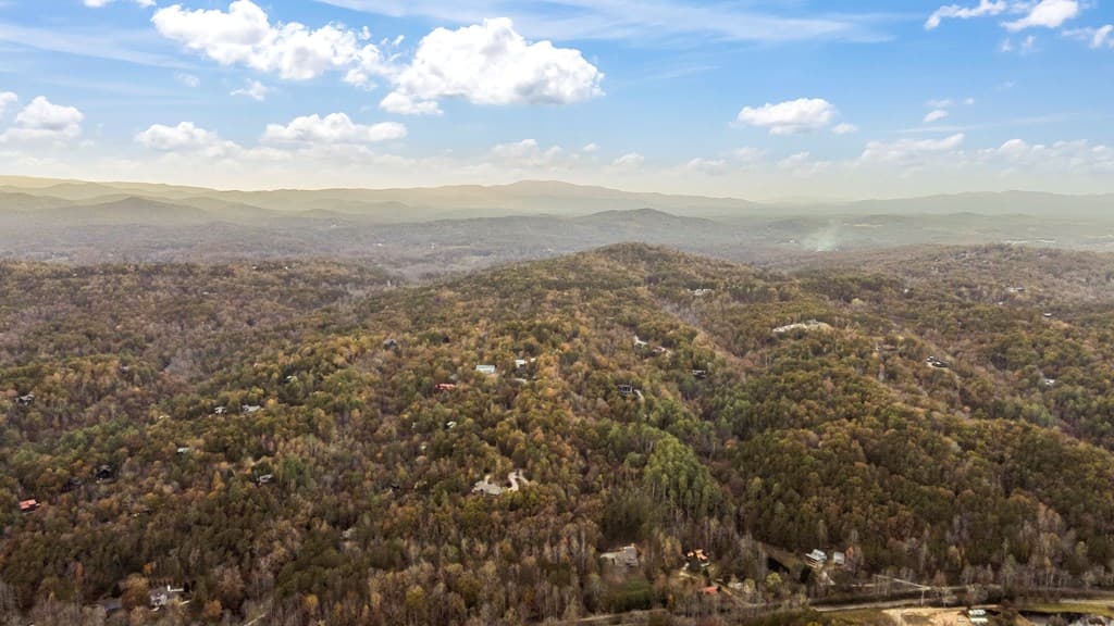 115 Raleigh Ridge Drive, Blue Ridge GA 30513 - Photo