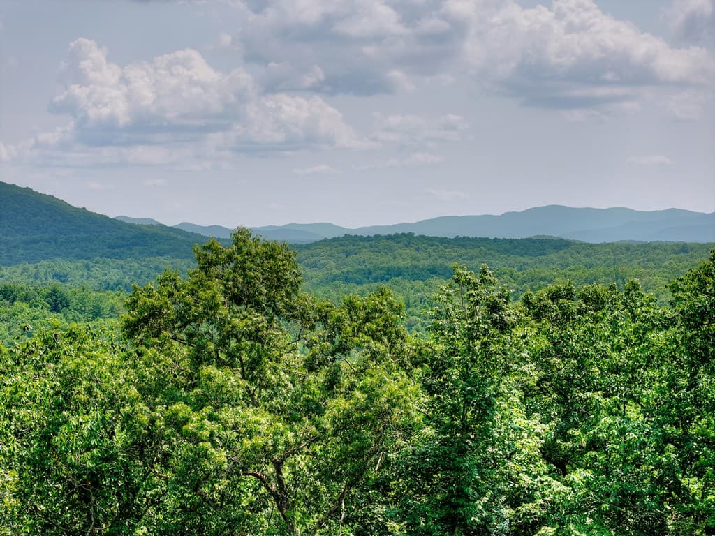 100 Boundless Trail, Morganton GA 30560 - Photo
