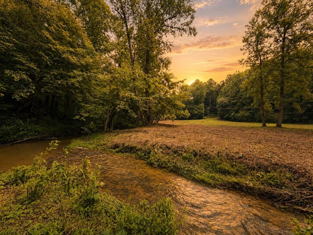 4.06 AC Licklog Trail, Ellijay GA 30536 - Photo