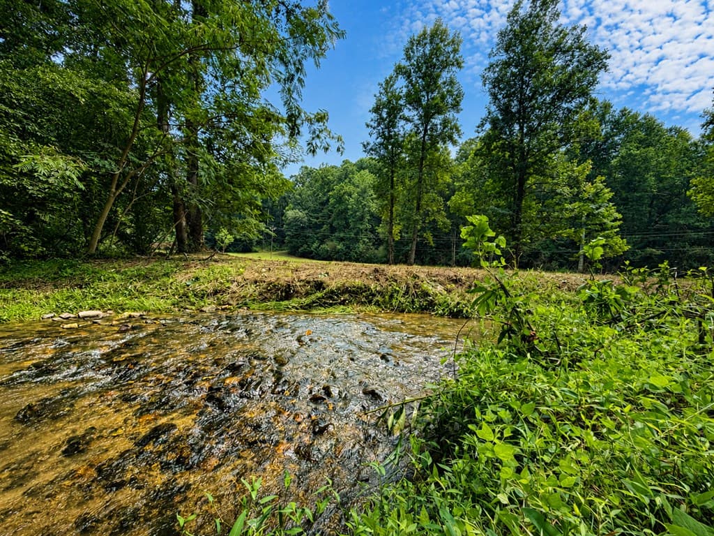 4.06 AC Licklog Trail, Ellijay GA 30536 - Photo