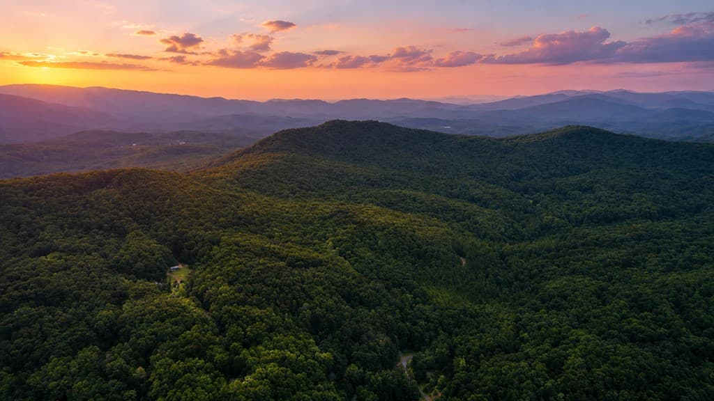 4.06 AC Licklog Trail, Ellijay GA 30536 - Photo