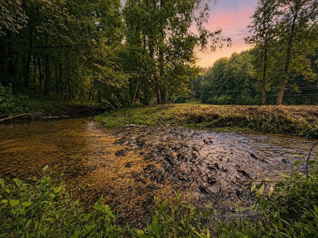4.06 AC Licklog Trail, Ellijay GA 30536 - Photo
