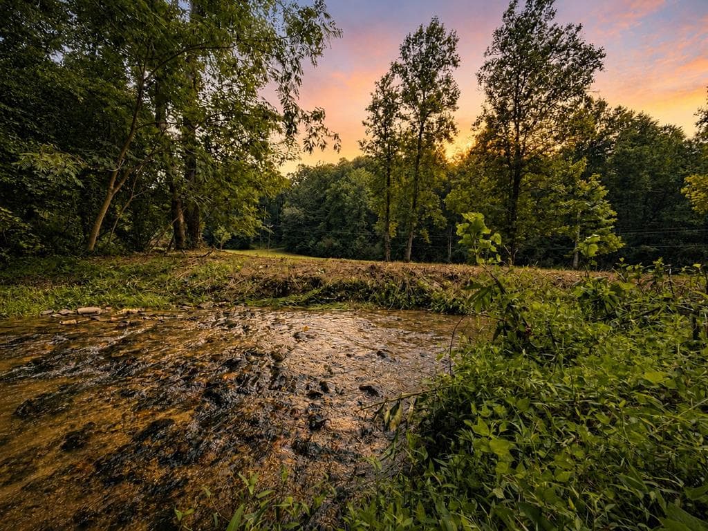 4.06 AC Licklog Trail, Ellijay GA 30536 - Primary photo