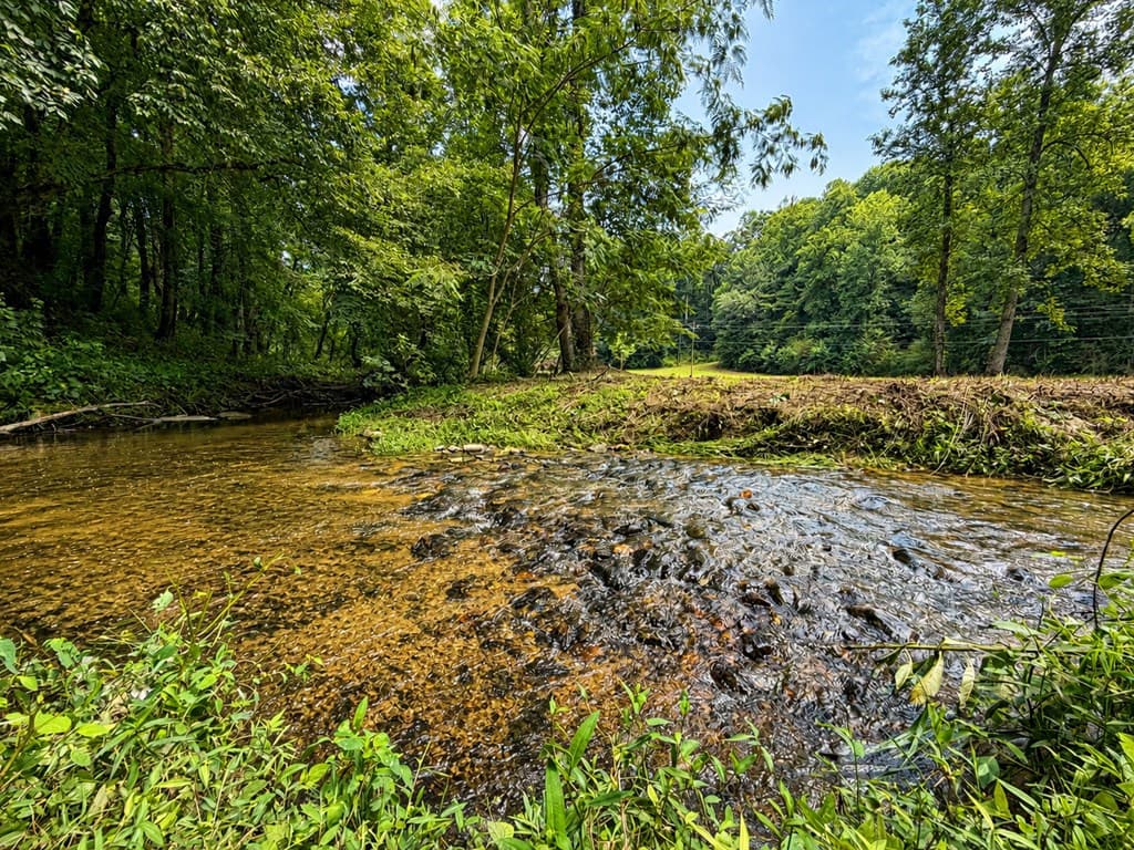4.06 AC Licklog Trail, Ellijay GA 30536 - Photo