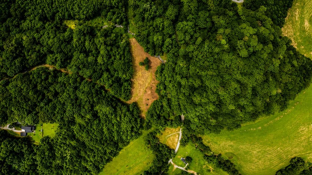 4.06 AC Licklog Trail, Ellijay GA 30536 - Photo
