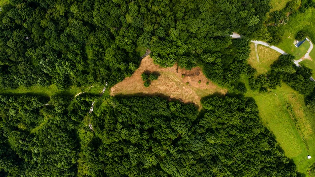 4.06 AC Licklog Trail, Ellijay GA 30536 - Photo