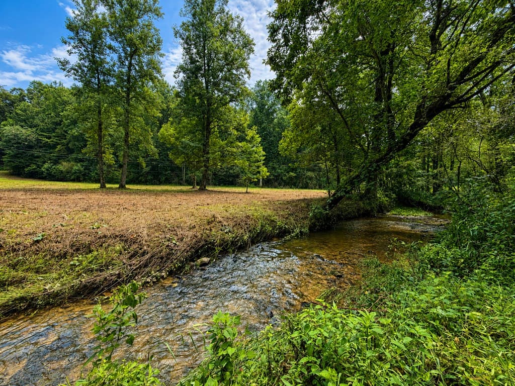 4.06 AC Licklog Trail, Ellijay GA 30536 - Photo