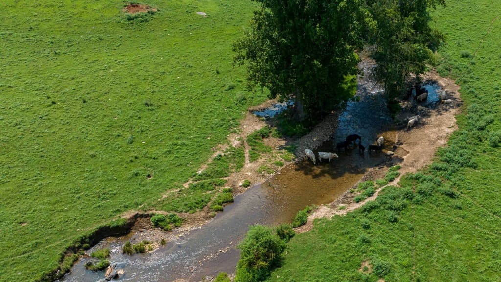 51.20 AC Bethabara Road, Hayesville NC 28904 - Photo