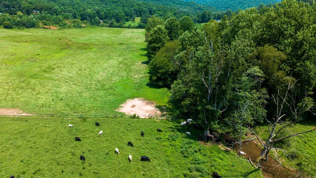 51.20 AC Bethabara Road, Hayesville NC 28904 - Photo
