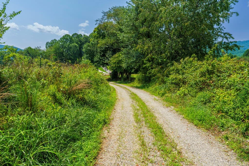 51.20 AC Bethabara Road, Hayesville NC 28904 - Photo